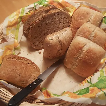 Landgasthaus Zum Seysingshof מלון 3*