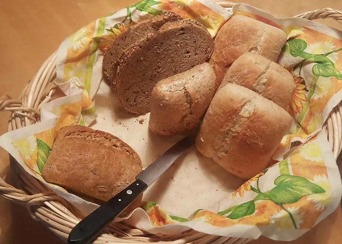 Landgasthaus Zum Seysingshof Otel 3*